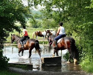 Deurstickers Paardrijden riders crossing a river