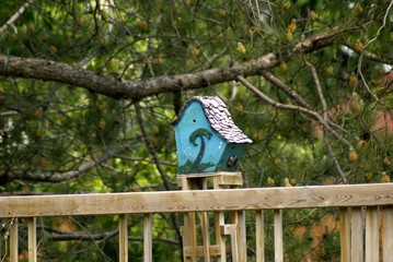 palm bird house on pine tree over fence