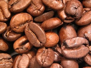 kaffeebohnen