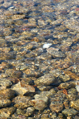 Obraz premium water creek