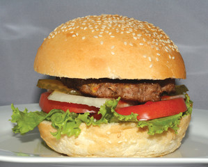 yummy burger