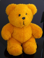 petit ours en peluche jaune © Bruno Bleu