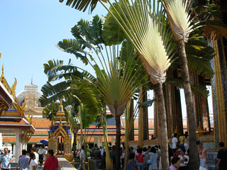 bangkok king palace