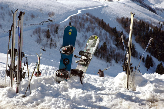 skis plant&eacute;s