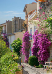 Ruelle fleurie dans un village provençal