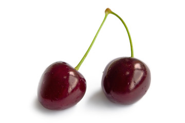 cherry