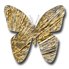 papillon doré