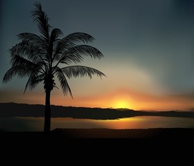 tropical sunset 2