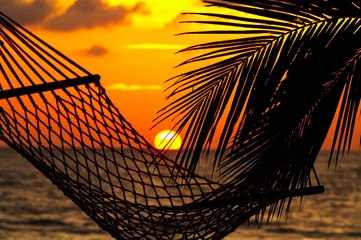 Fotobehang palm, hammock and sunset © Dmitry Ersler