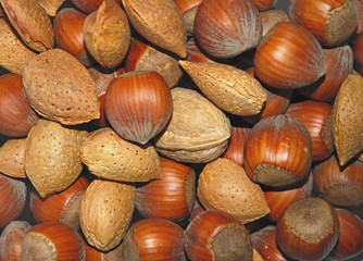 mixed nuts