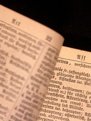 Fototapeta premium fremdwörterbuch