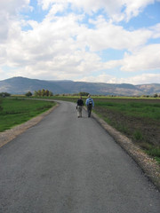 Fototapeta premium walking down the road, hula valley israel