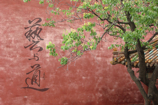 chine, cit&eacute; interdite