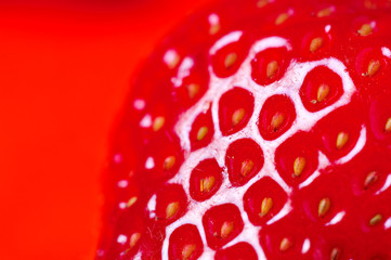 detail of fresh strawberry