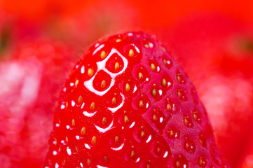 detail of fresh strawberry