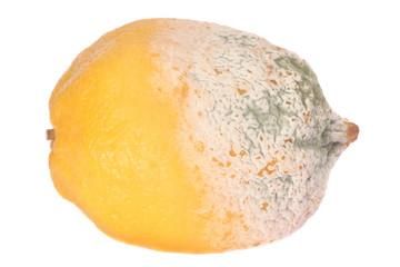 lemon fruit half-damaged