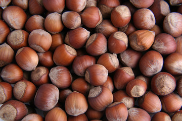 hazelnuts