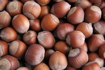 haselnuts2