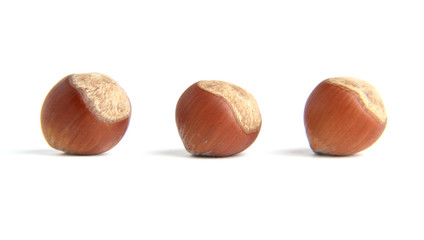 three hazelnuts