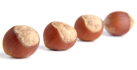 four hazelnuts