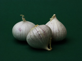 knoblauch