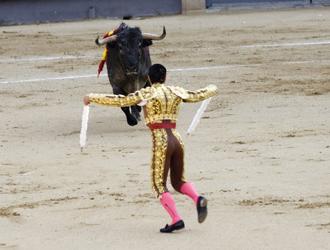 banderillero in bullfight