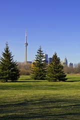 Obraz premium toronto skylineac from park