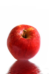 An Apple