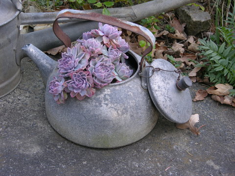 alte teekanne mit blumen