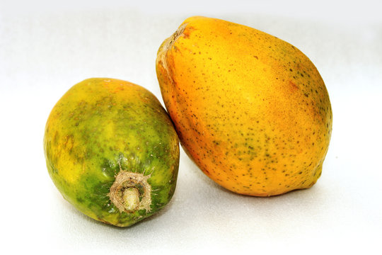 papaya 5