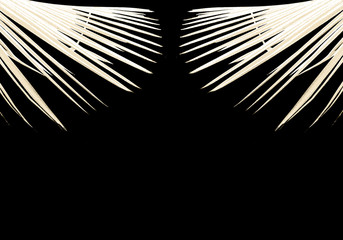 Obraz premium chambre noire