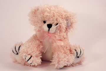 teddy in pink