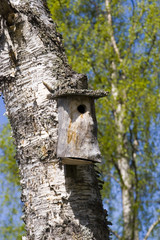 starling house