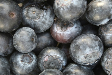 blueberries