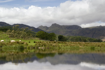 farmland in the lake district