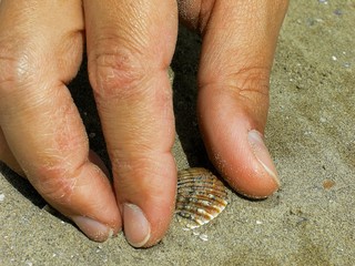 mano