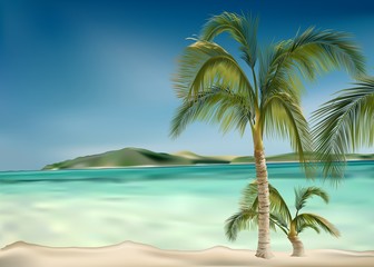 Fototapeta na wymiar palms beach
