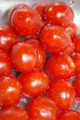 eiertomaten
