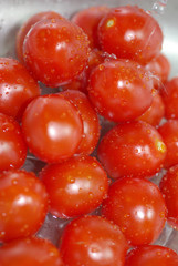 eiertomaten