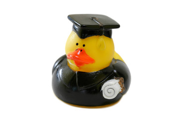 rubber ducky graduating