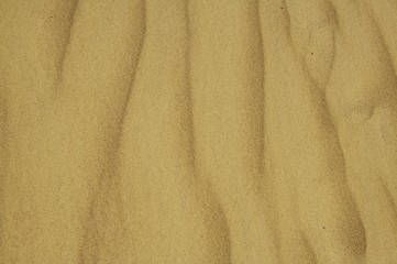 sand texture