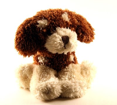  a toy - a soft, children's dog