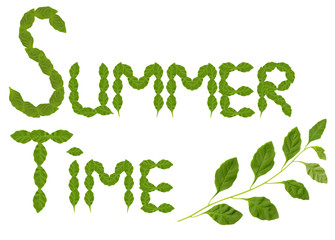summer time made of fresh leaves (with clipping pa