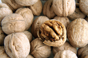 walnuts2