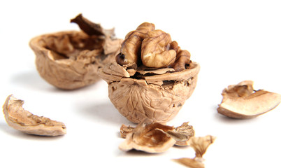 Fototapeta na wymiar a cracked walnut