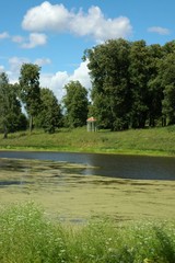 pond at summer