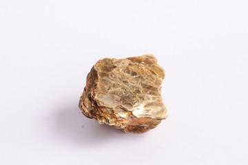katzensilber3