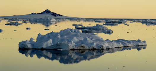 drifting ice floe at dawn © staphy