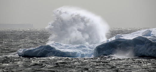 antarctic fountaine