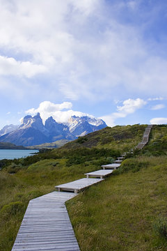 a scenic walk in patagonia